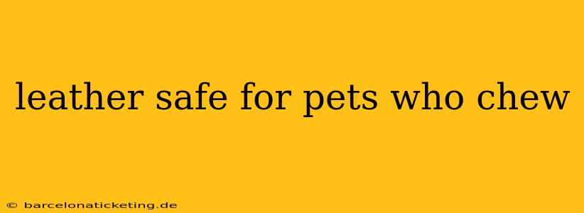 leather safe for pets who chew