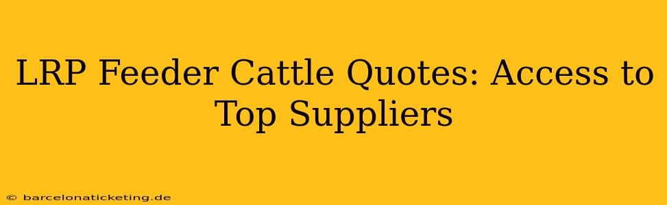 LRP Feeder Cattle Quotes: Access to Top Suppliers