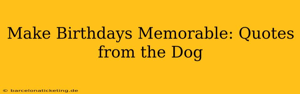 Make Birthdays Memorable: Quotes from the Dog