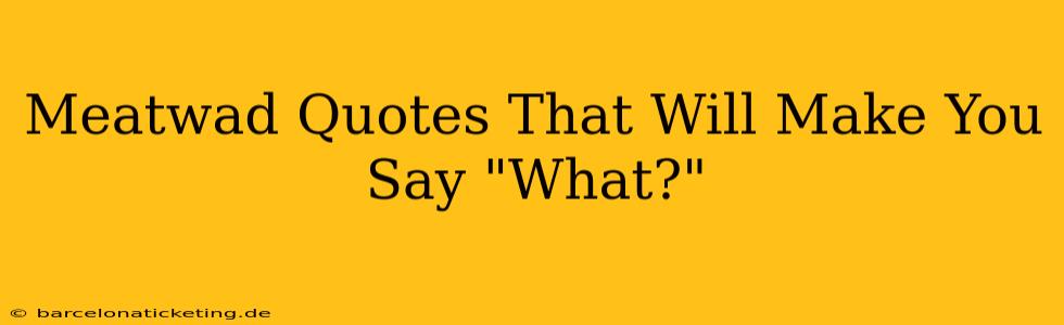 Meatwad Quotes That Will Make You Say "What?"