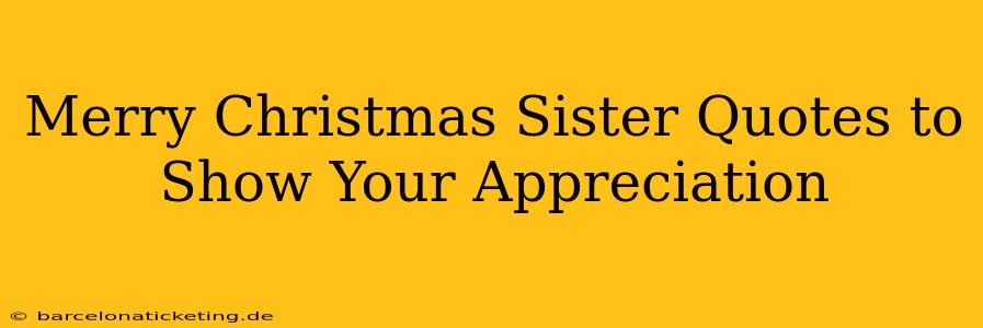 Merry Christmas Sister Quotes to Show Your Appreciation