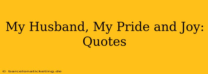 My Husband, My Pride and Joy: Quotes