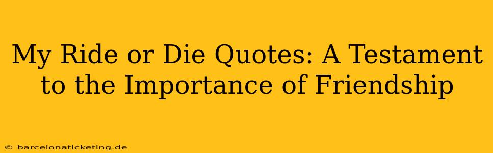 My Ride or Die Quotes: A Testament to the Importance of Friendship