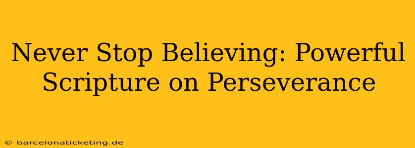 Never Stop Believing: Powerful Scripture on Perseverance