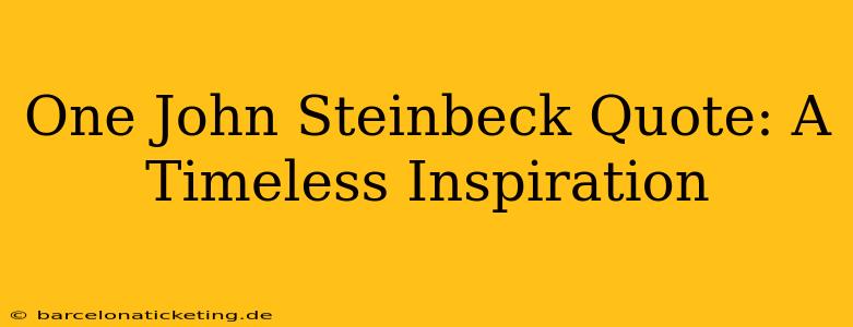 One John Steinbeck Quote: A Timeless Inspiration