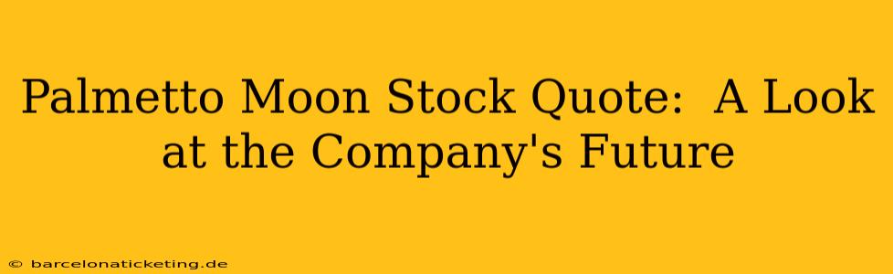 Palmetto Moon Stock Quote:  A Look at the Company's Future