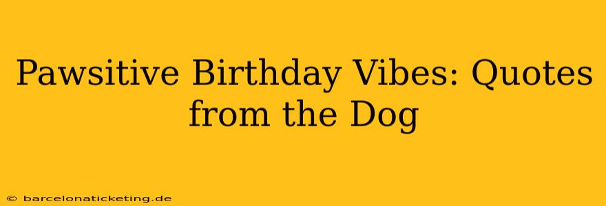 Pawsitive Birthday Vibes: Quotes from the Dog