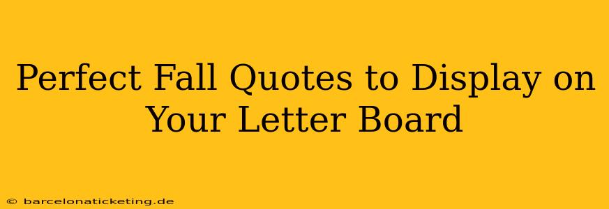 Perfect Fall Quotes to Display on Your Letter Board