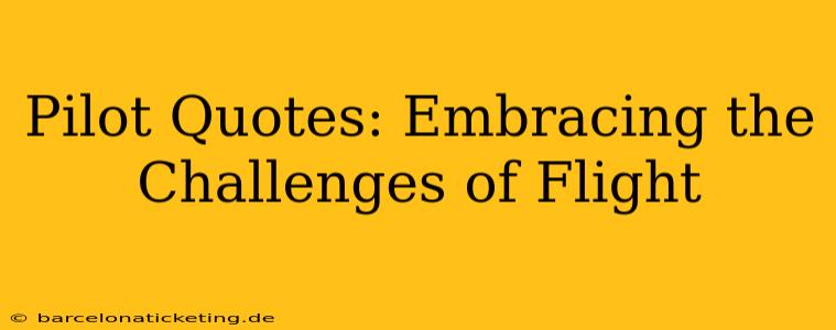 Pilot Quotes: Embracing the Challenges of Flight