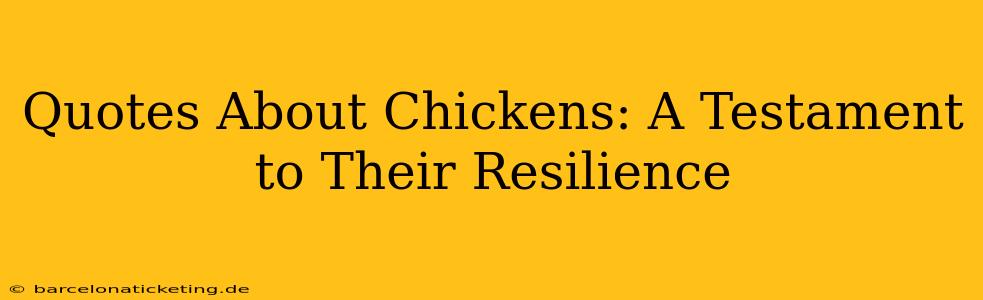 Quotes About Chickens: A Testament to Their Resilience