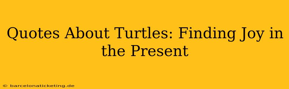 Quotes About Turtles: Finding Joy in the Present