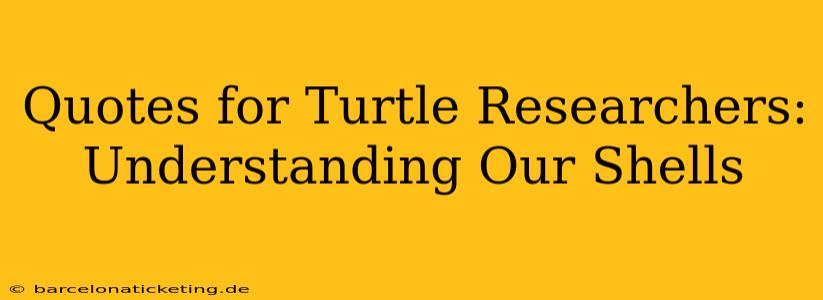Quotes for Turtle Researchers: Understanding Our Shells
