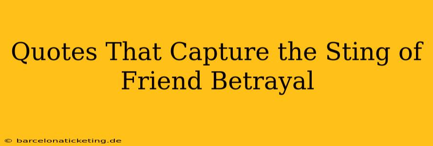 Quotes That Capture the Sting of Friend Betrayal
