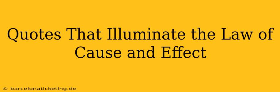 Quotes That Illuminate the Law of Cause and Effect