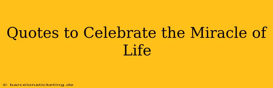 Quotes to Celebrate the Miracle of Life