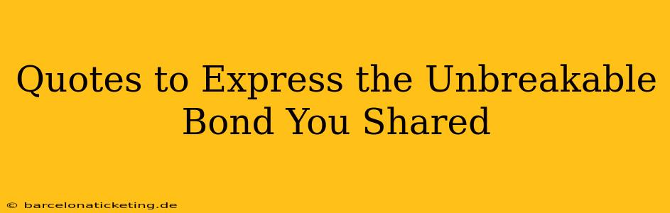 Quotes to Express the Unbreakable Bond You Shared