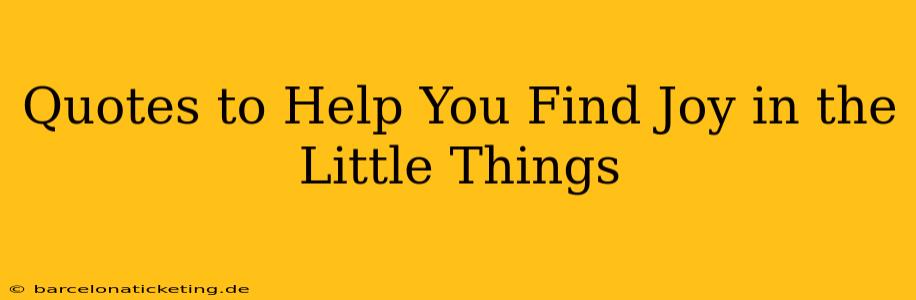 Quotes to Help You Find Joy in the Little Things