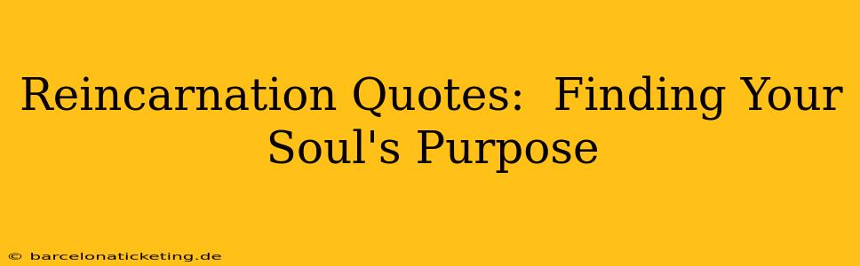 Reincarnation Quotes:  Finding Your Soul's Purpose
