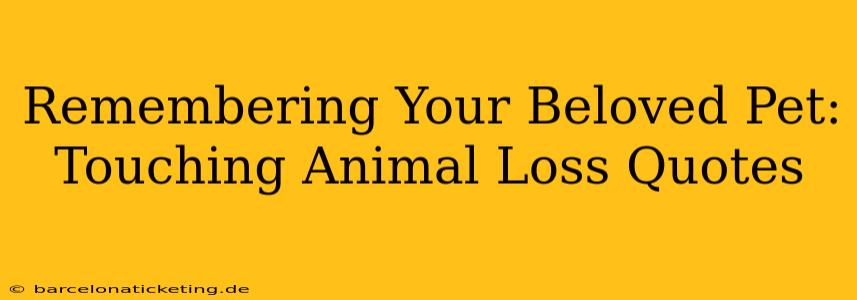 Remembering Your Beloved Pet: Touching Animal Loss Quotes