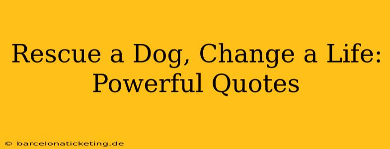 Rescue a Dog, Change a Life: Powerful Quotes