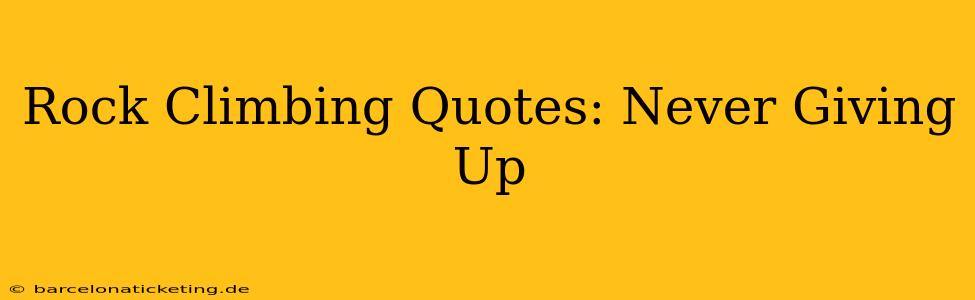 Rock Climbing Quotes: Never Giving Up