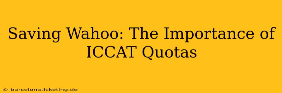 Saving Wahoo: The Importance of ICCAT Quotas