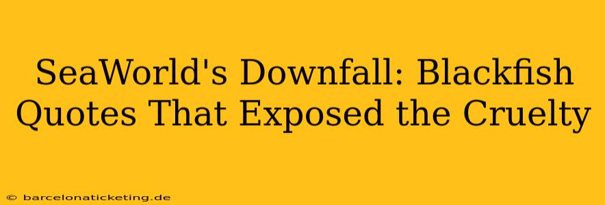 SeaWorld's Downfall: Blackfish Quotes That Exposed the Cruelty