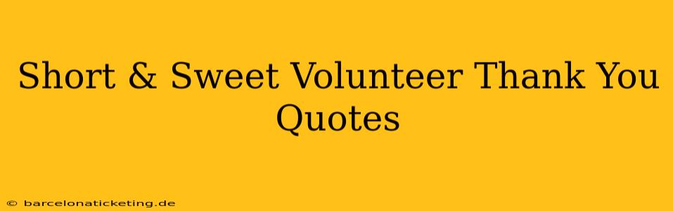 Short & Sweet Volunteer Thank You Quotes