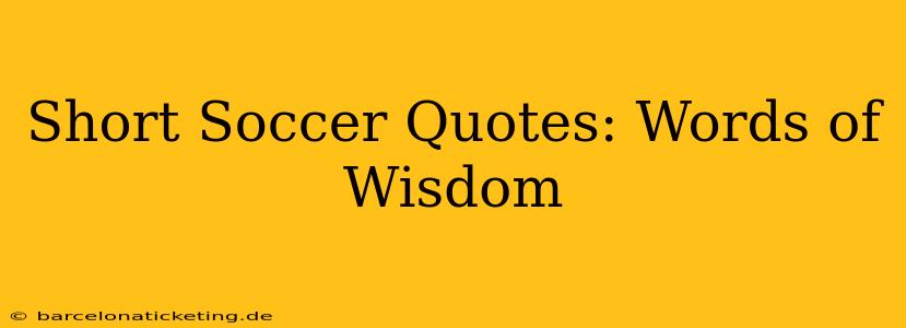 Short Soccer Quotes: Words of Wisdom