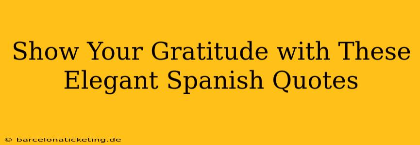 Show Your Gratitude with These Elegant Spanish Quotes