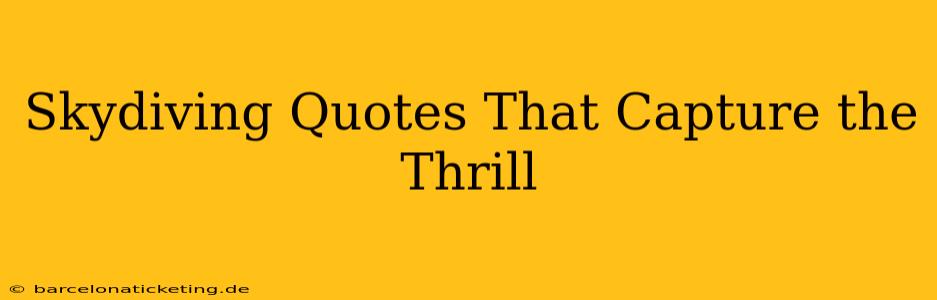 Skydiving Quotes That Capture the Thrill