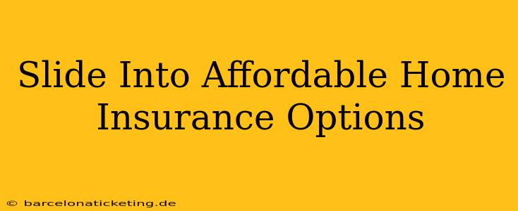 Slide Into Affordable Home Insurance Options