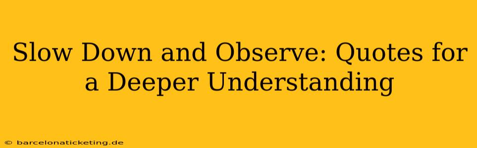 Slow Down and Observe: Quotes for a Deeper Understanding