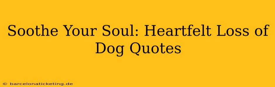 Soothe Your Soul: Heartfelt Loss of Dog Quotes