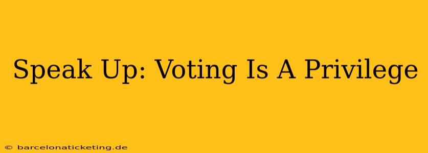 Speak Up: Voting Is A Privilege