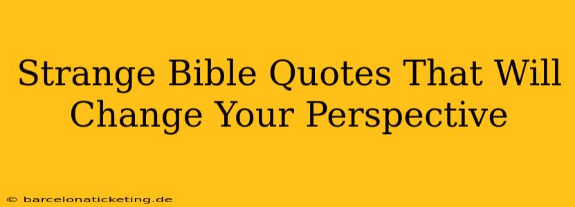 Strange Bible Quotes That Will Change Your Perspective