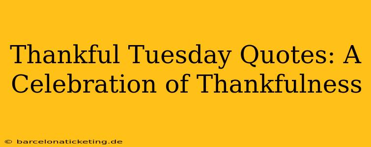 Thankful Tuesday Quotes: A Celebration of Thankfulness