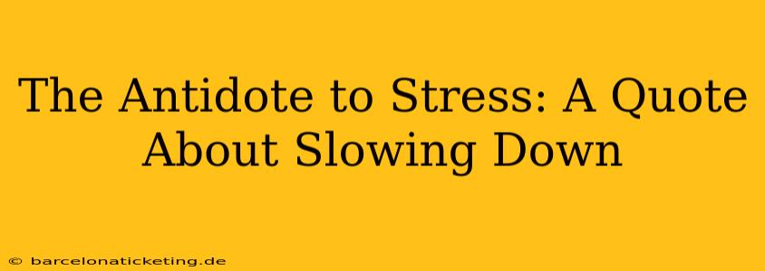 The Antidote to Stress: A Quote About Slowing Down