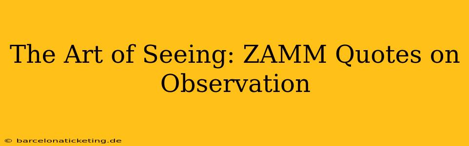 The Art of Seeing: ZAMM Quotes on Observation