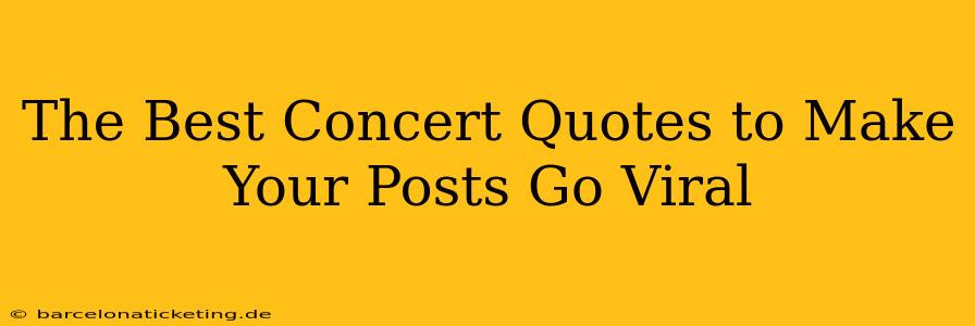 The Best Concert Quotes to Make Your Posts Go Viral