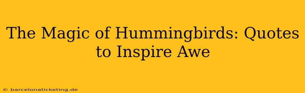 The Magic of Hummingbirds: Quotes to Inspire Awe