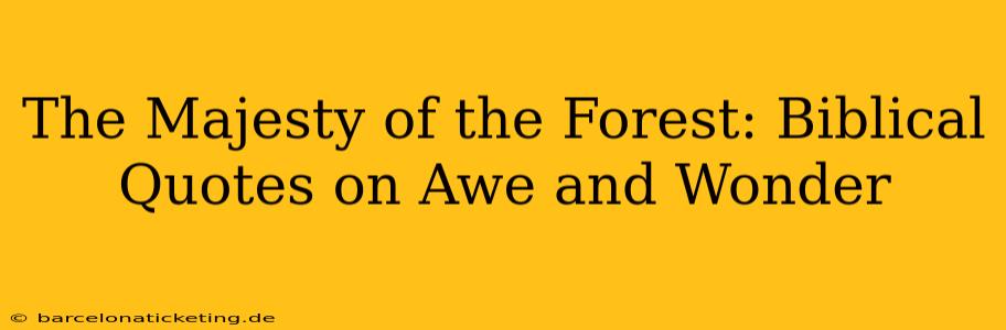 The Majesty of the Forest: Biblical Quotes on Awe and Wonder