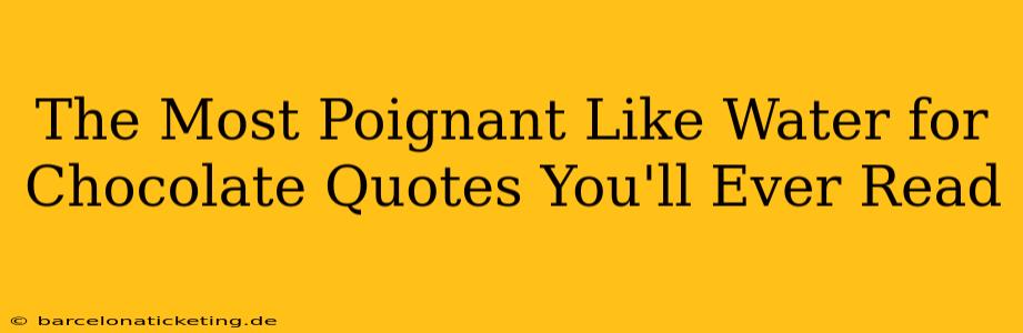 The Most Poignant Like Water for Chocolate Quotes You'll Ever Read