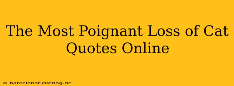 The Most Poignant Loss of Cat Quotes Online