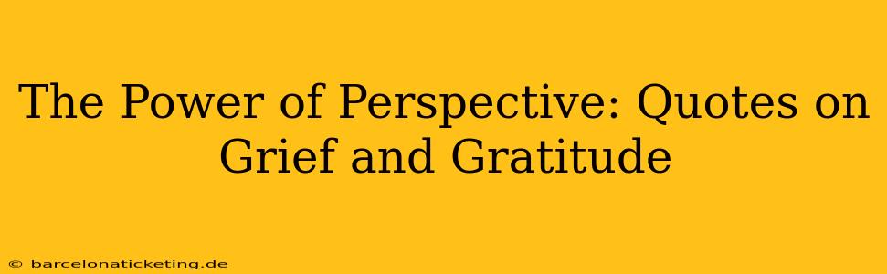 The Power of Perspective: Quotes on Grief and Gratitude