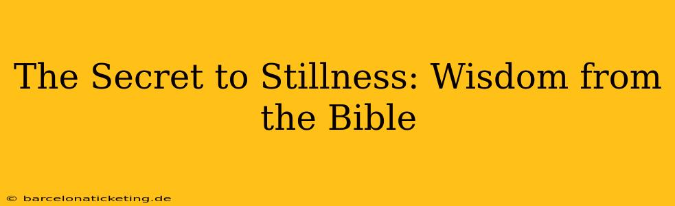 The Secret to Stillness: Wisdom from the Bible