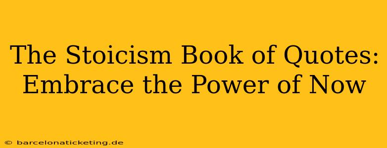 The Stoicism Book of Quotes:  Embrace the Power of Now