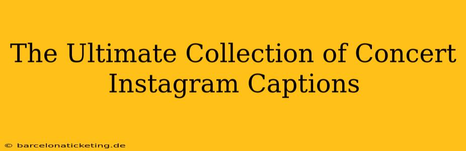 The Ultimate Collection of Concert Instagram Captions