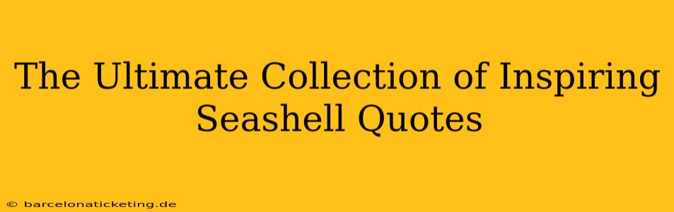 The Ultimate Collection of Inspiring Seashell Quotes