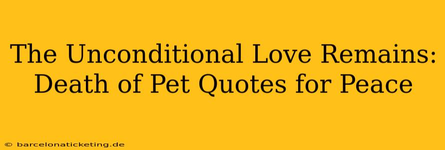 The Unconditional Love Remains:  Death of Pet Quotes for Peace